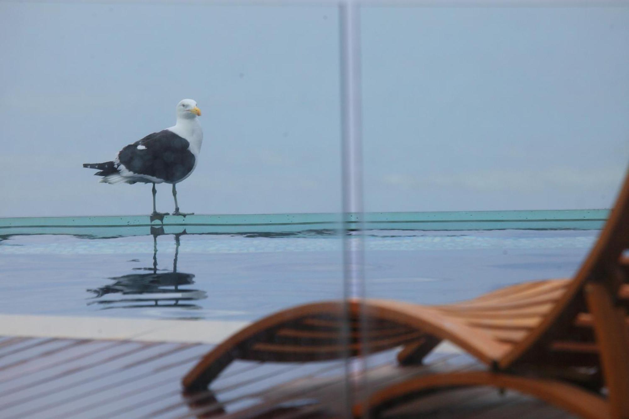 Periwinkle Lodge Guest House Plettenberg Bay Bagian luar foto